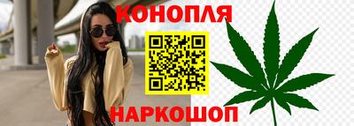 шишки Конаково